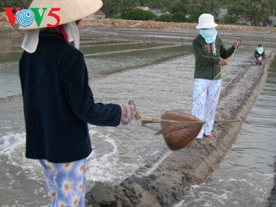 ភូមិផលិតអំបិល Sa Huynh នៅខេត្ត Quang Ngai
